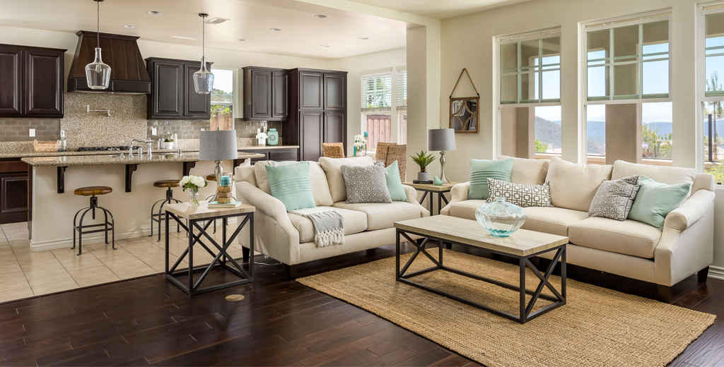 Light-filled North County home interior